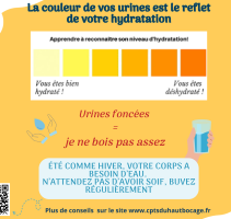 Reste hydraté toute l’année ! (14.8 x 10.5 cm) (3)
